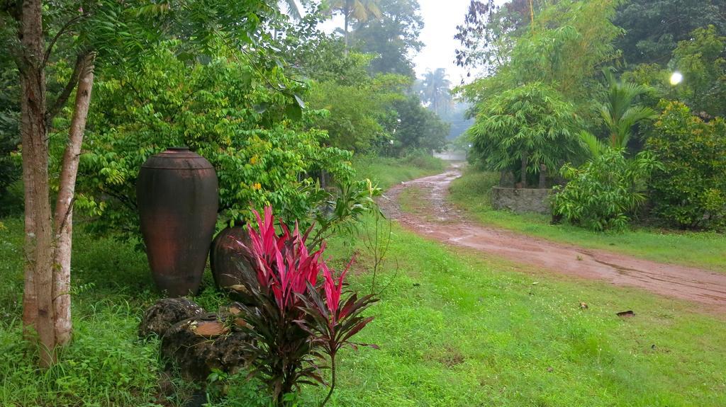 Clayfingers Art Cottage Thrissur Quarto foto